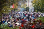 MvUeberseeFeldwies_Voellan-Suedtirol_Okt2024_MG_4652_WoifeGasser_MedRes